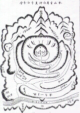 Tigre.JPG (50728 bytes)