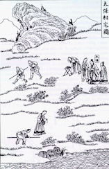 goema.gif (24525 bytes)