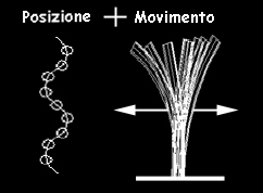 elementi uguali in movimento